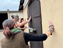 alt=Teilnehmende tanzen gemeinsam im inklusiven Workshop von Tanzfreiraus